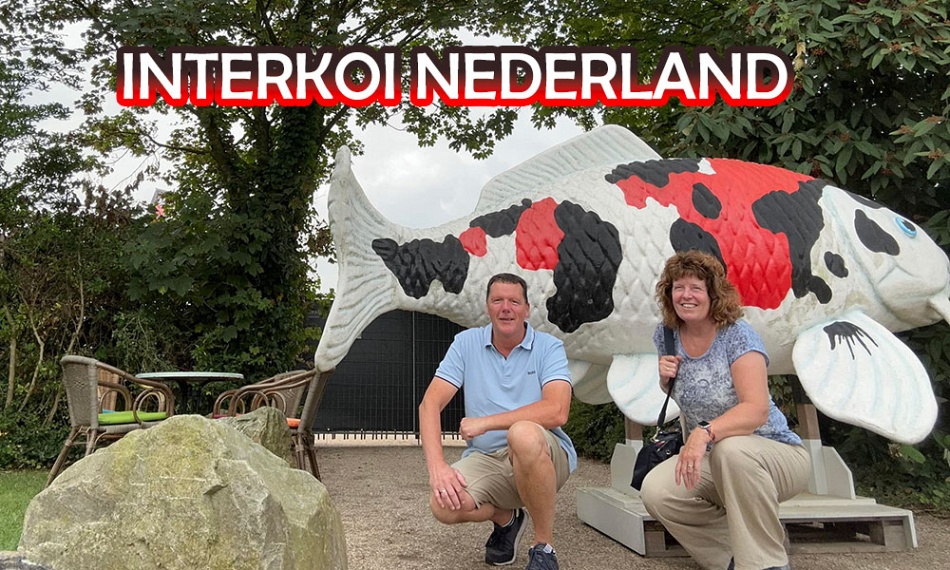 Interkoi Nederland showt zijn koi