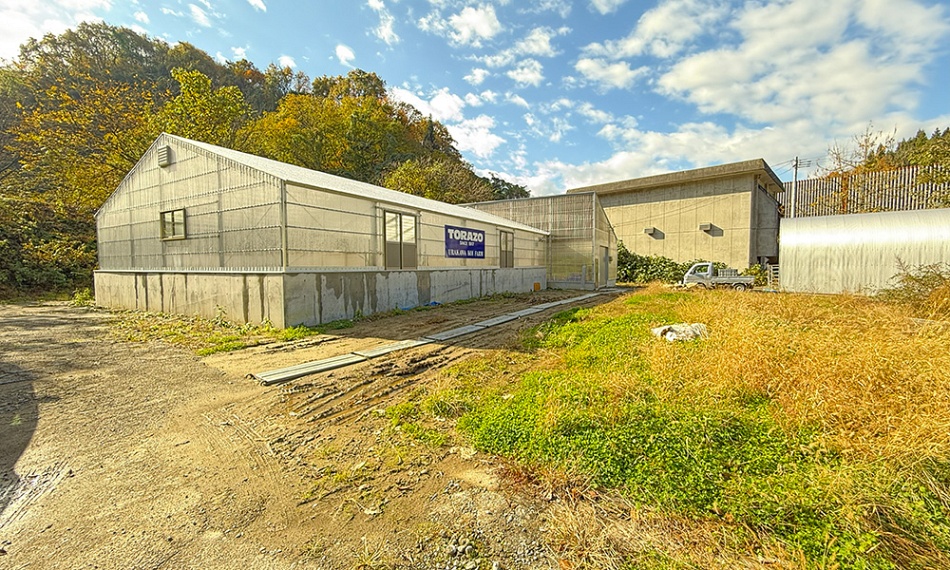 Japan dag 10, een dag van rust