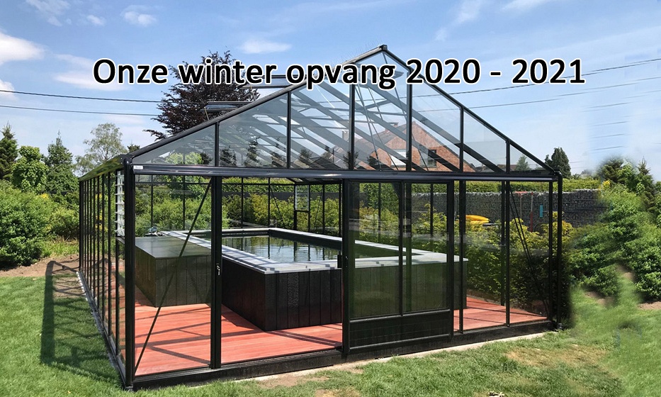 Kandidaten voor de winter opvang