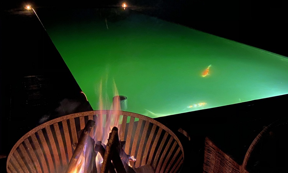 Koi vijver by night