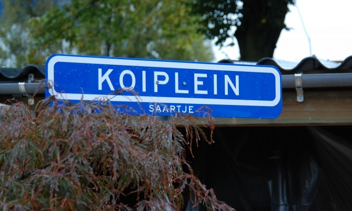 Koiplein