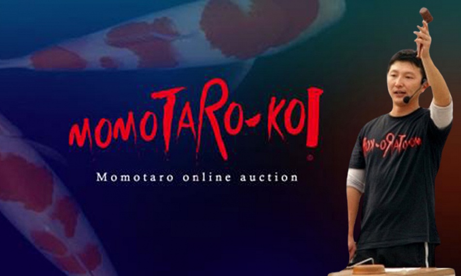 Laatste Momotaro online veiling 2024
