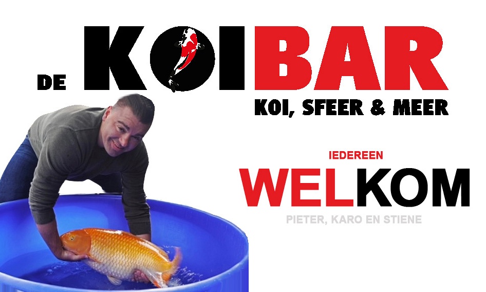Maak kennis met de koibar