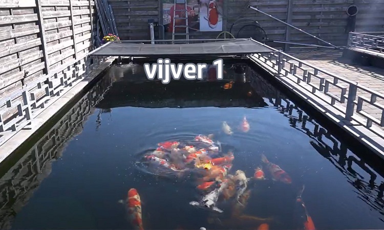 Mijn aanbod voor Vaderkensdag