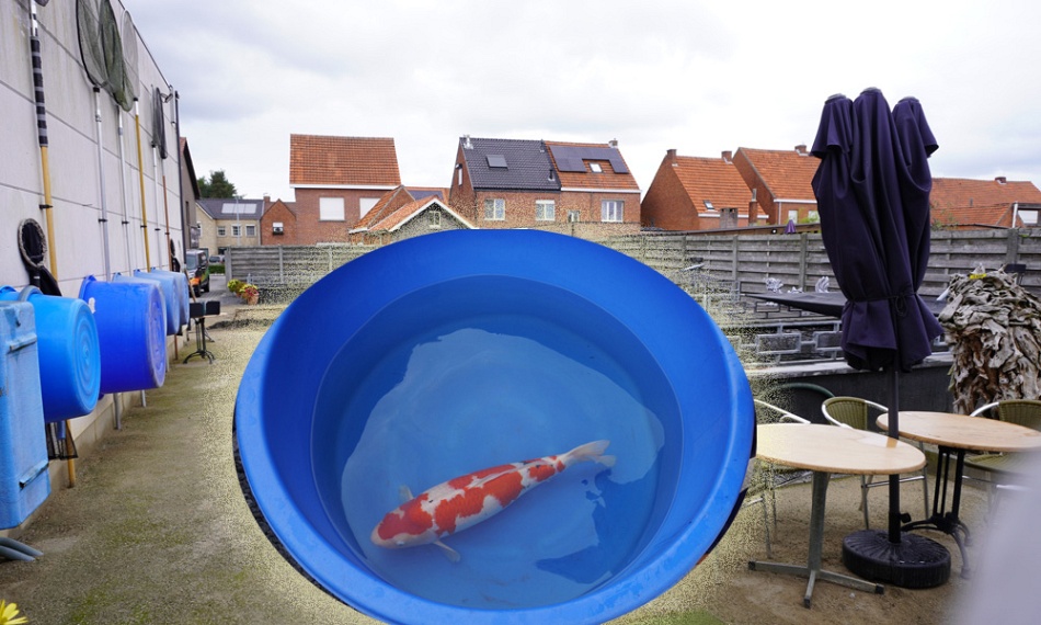Mijn lievelingssanke verkocht