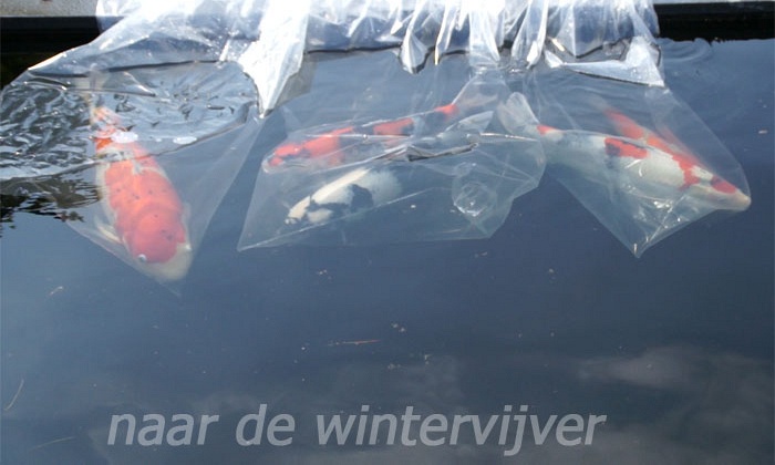 Naar het winterverblijf