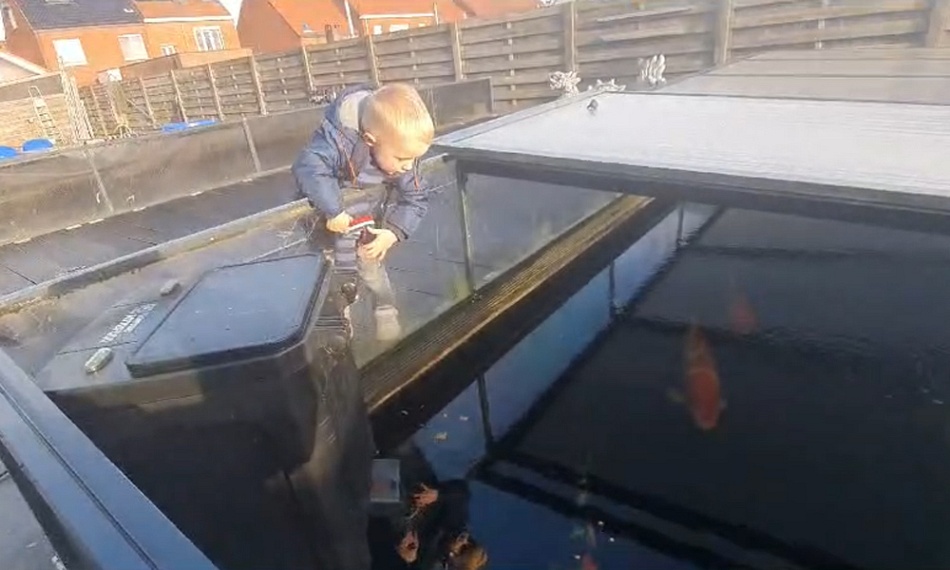 NIet normaal
