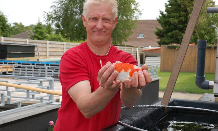 Ontwikkeling van Ben's tossai