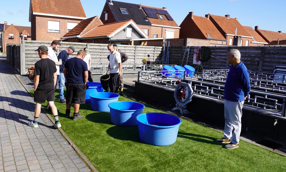 Oplossingen gevonden