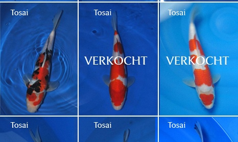 Overzicht groeivijver