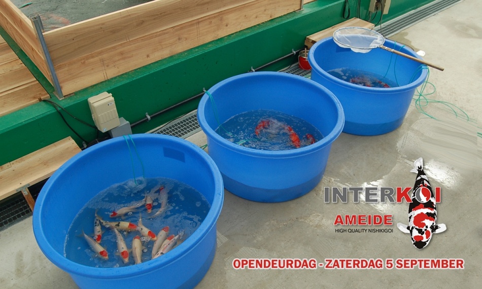 Presentatie bowls voor zaterdag 5 september