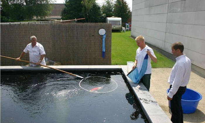 Sa-kami gaat naar huis