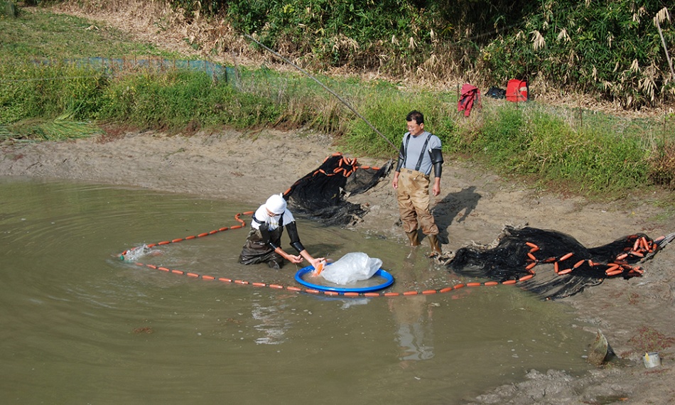 Succes op de Dainichi veiling