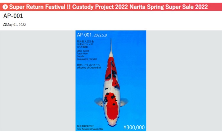 Super Return Festival