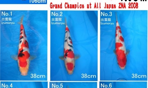 Tosai - Sanke - Izumoryu