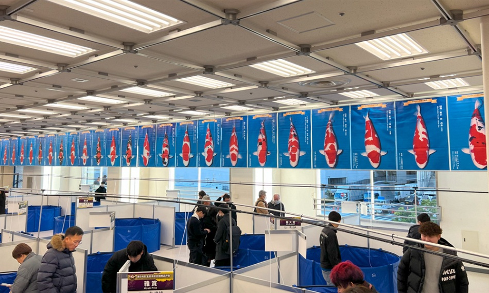 Transfer naar Japan