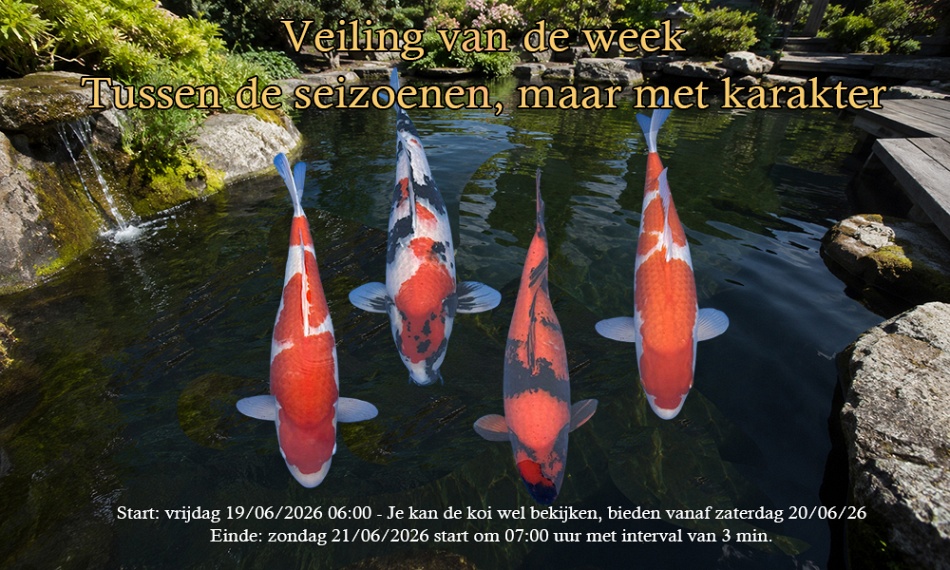 Tussen de seizoenen, maar met karakter