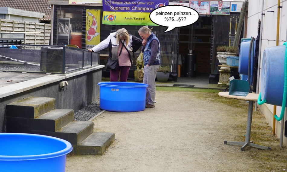 Uittocht uit Arendonk