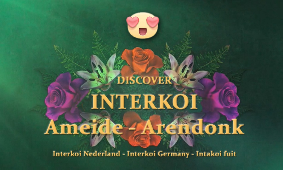 Update van enkele koi