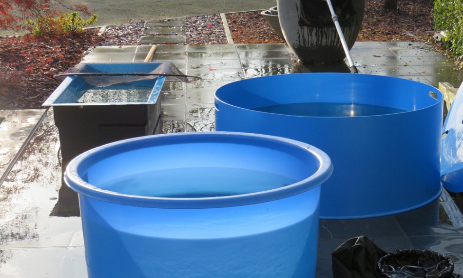 Update in de motregen bij Wim, deel 1