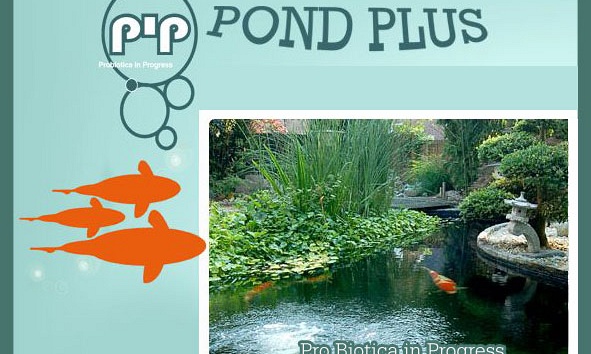 Verdere testen PiP