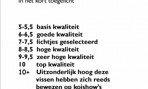 Vernieuwde waarderingscijfer bij onze koi