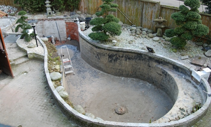 Vijver Makeover (5)