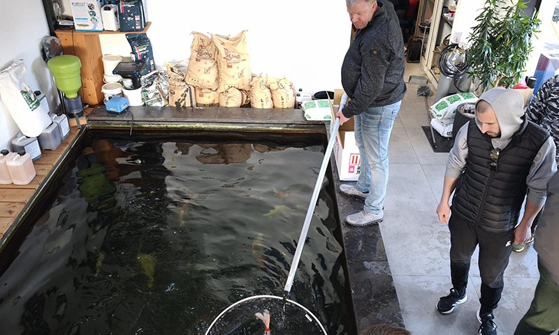 Wat een dag, de koibhobby leeft