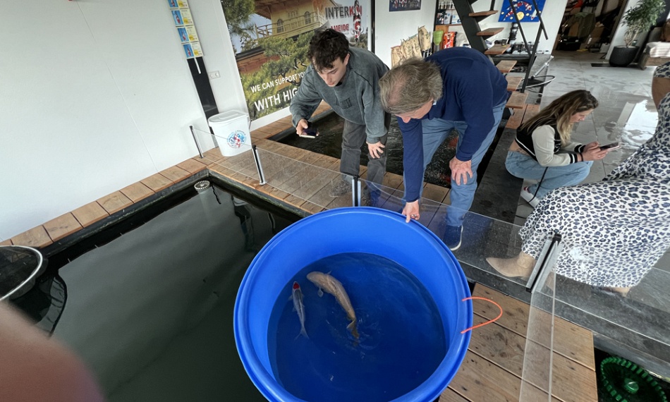 Weer eens een nieuws vanuit Ameide