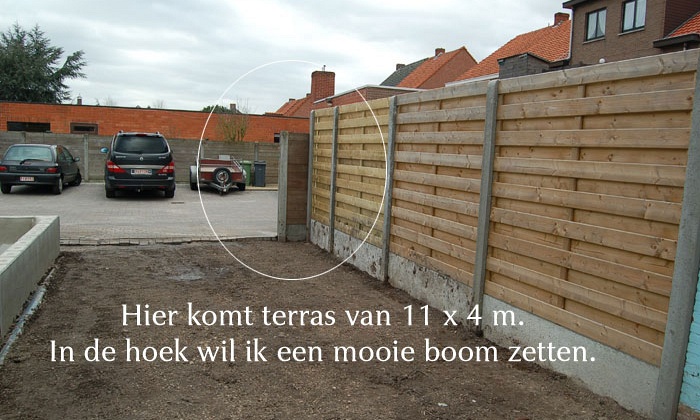Wie wil er een boom sponsoren ?