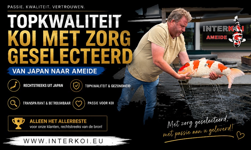 Wil je echt een topper voor de grote show