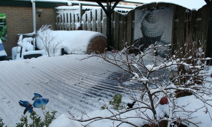 winter foto's