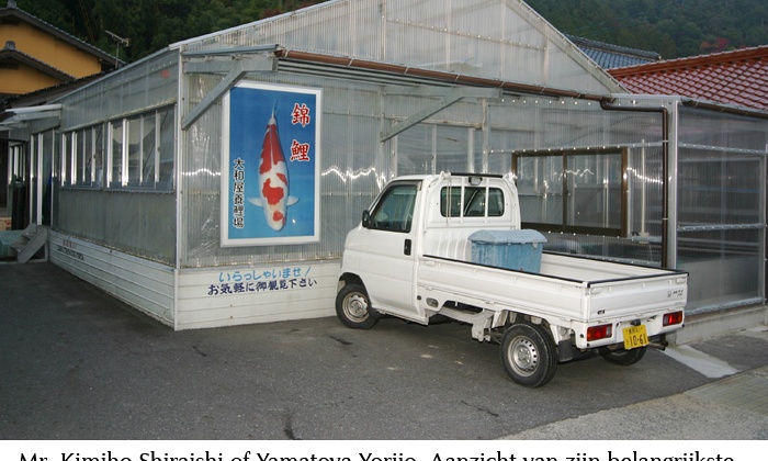 Yamatoya Koi Farm, de benadering van een ambachtsman