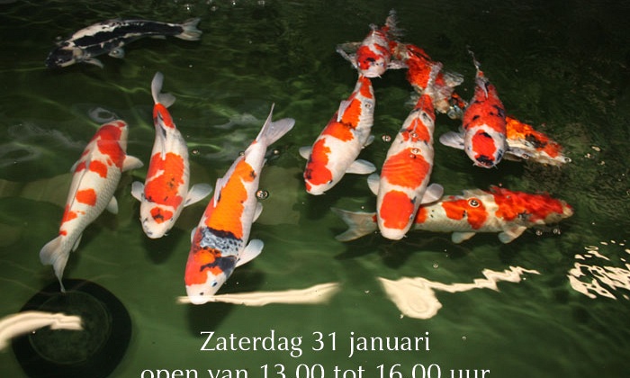 Zaterdag 31 januari