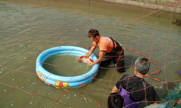leegmaken van een mudpond