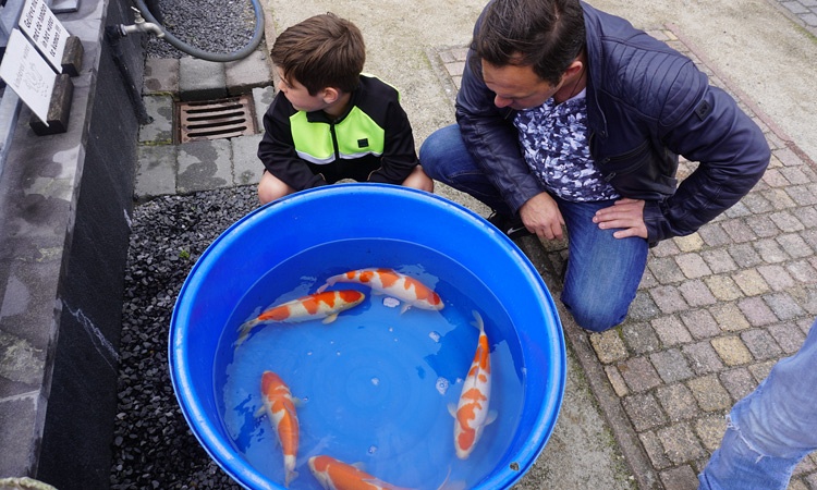 Zondag, de dag van de showa