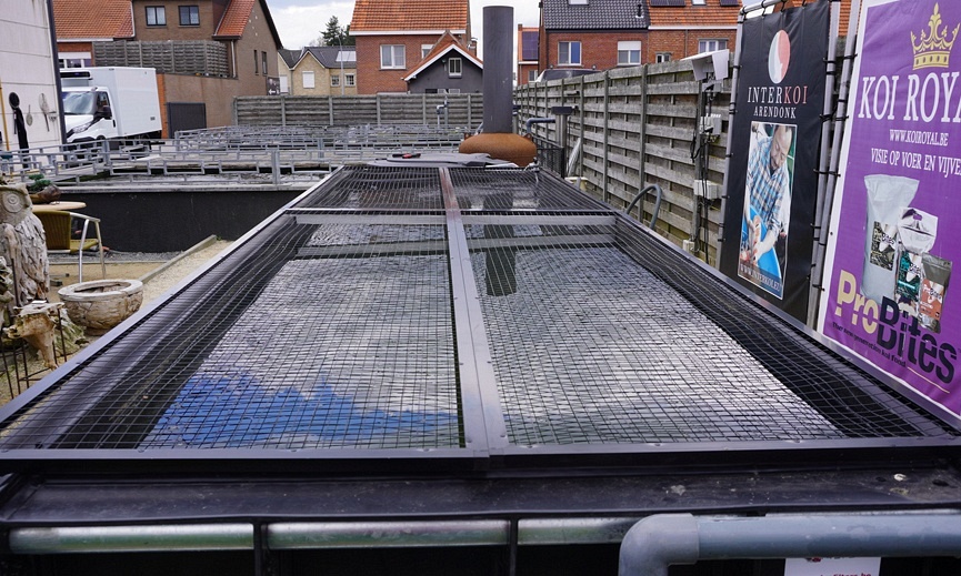 Zorg voor de kleintjes