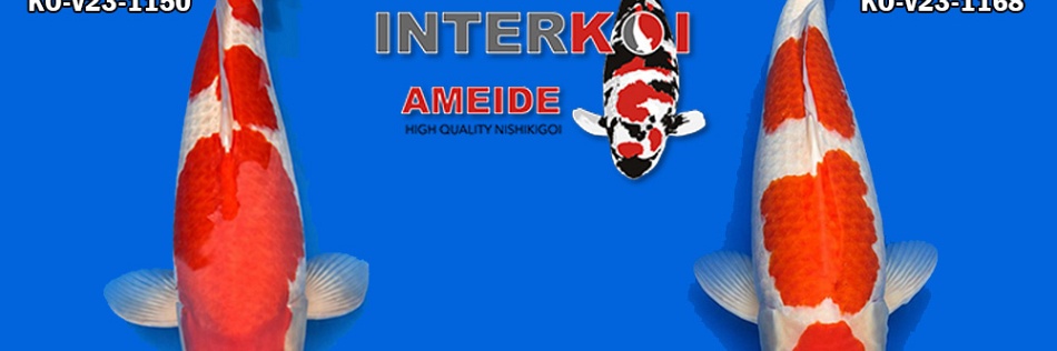 2 toekomstige grootheden