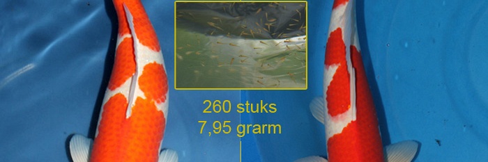 7.65 gram plezier