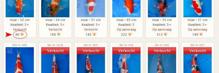 Aanpassingen website