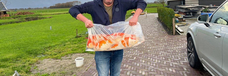 Achter de schermen