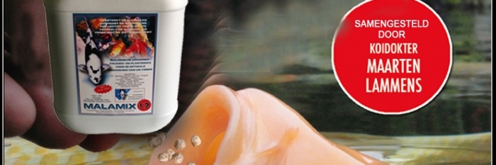 actie van de week
