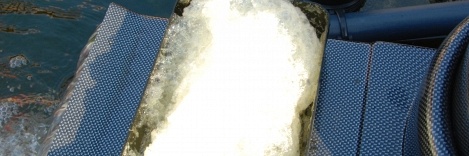 Afschuimen