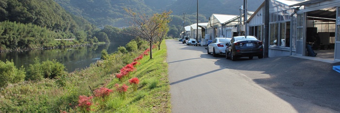 Alibaba en de eenzame rover