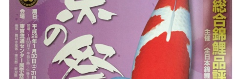 All Japan Koi Show 2016