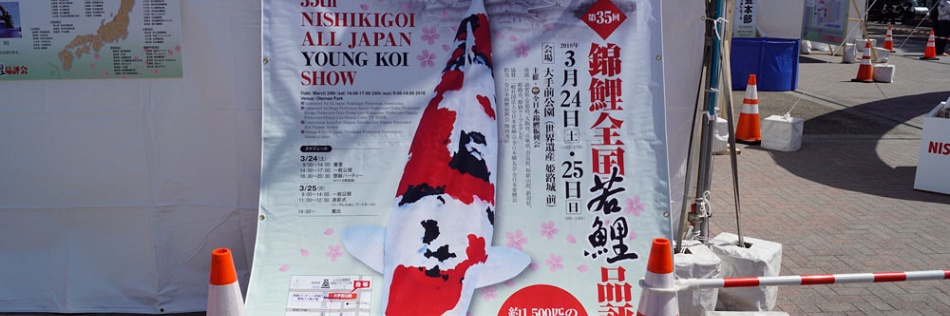 All Japan Young Koi Show en Himeji Castle