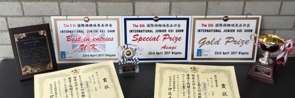 Asagi, de winnaar