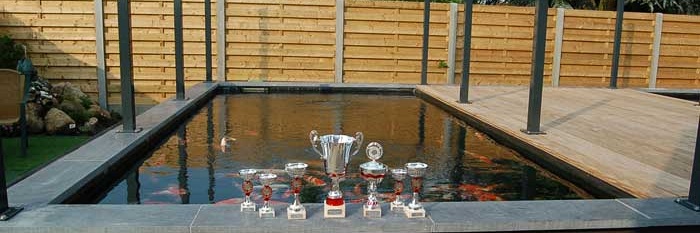 Babychampion Hilvarenbeek