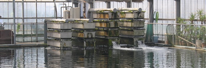 BAKKI SHOWERS