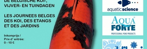 Belgian Koi Show